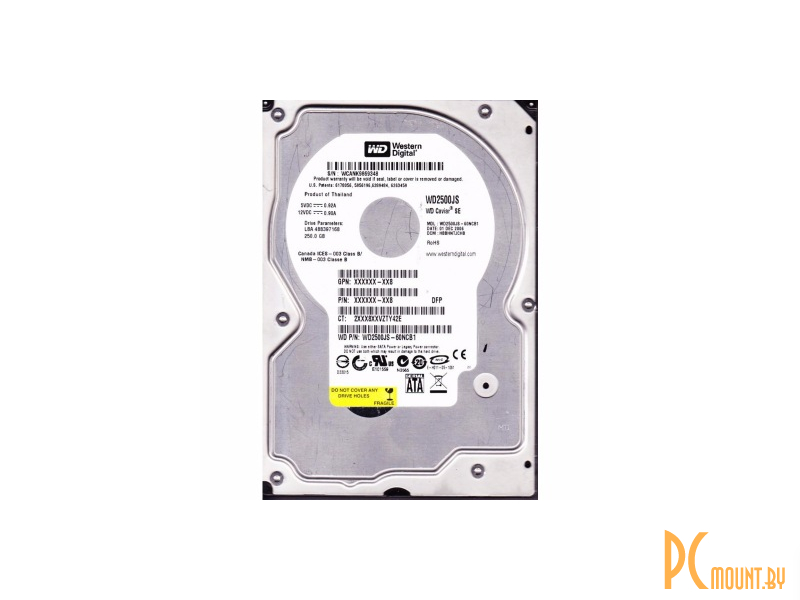 Wd black 250gb. Жёсткий диск wd2500js. WD 250 GB. Wd2500js Master. 2500 МБ В ГБ.