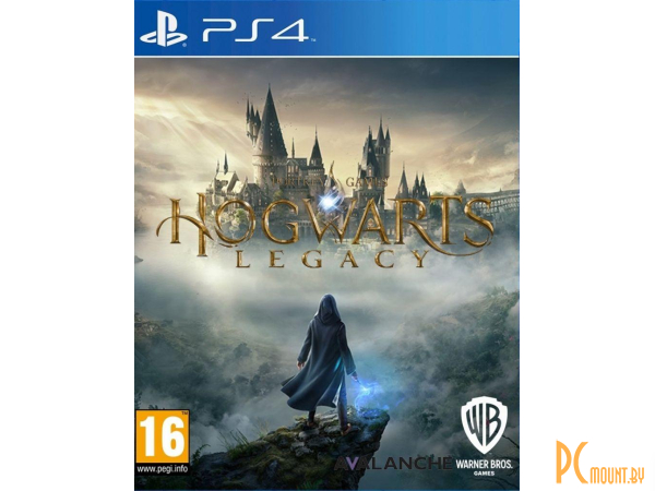 игра для приставки Playstation 4 Hogwarts Legacy 1221435