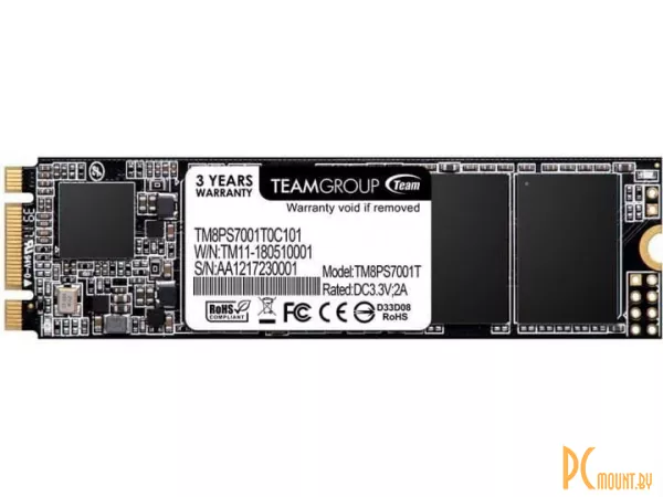 SSD 256GB Team Group TM8PS7256G0C101 M.2 2280