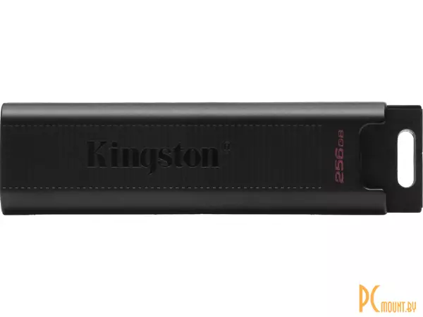 USB память USB Flash-накопитель Kingston DTMAX/256GB