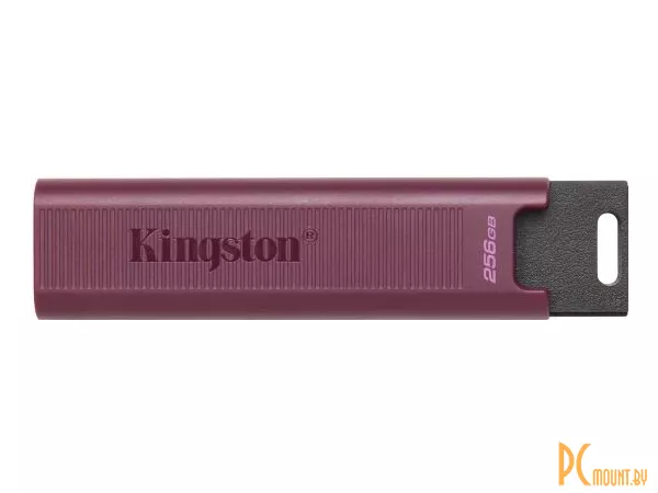 USB память 256GB, Kingston DataTraveler Max DTMAXA/256GB