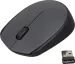 Мышь Logitech M170 Wireless (910-004646), Gray/ Black